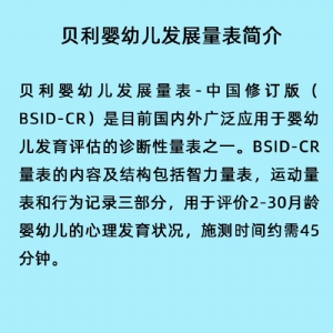 Bayley貝利嬰幼兒發(fā)展量表評(píng)估系統(tǒng)工具箱BSID-CR